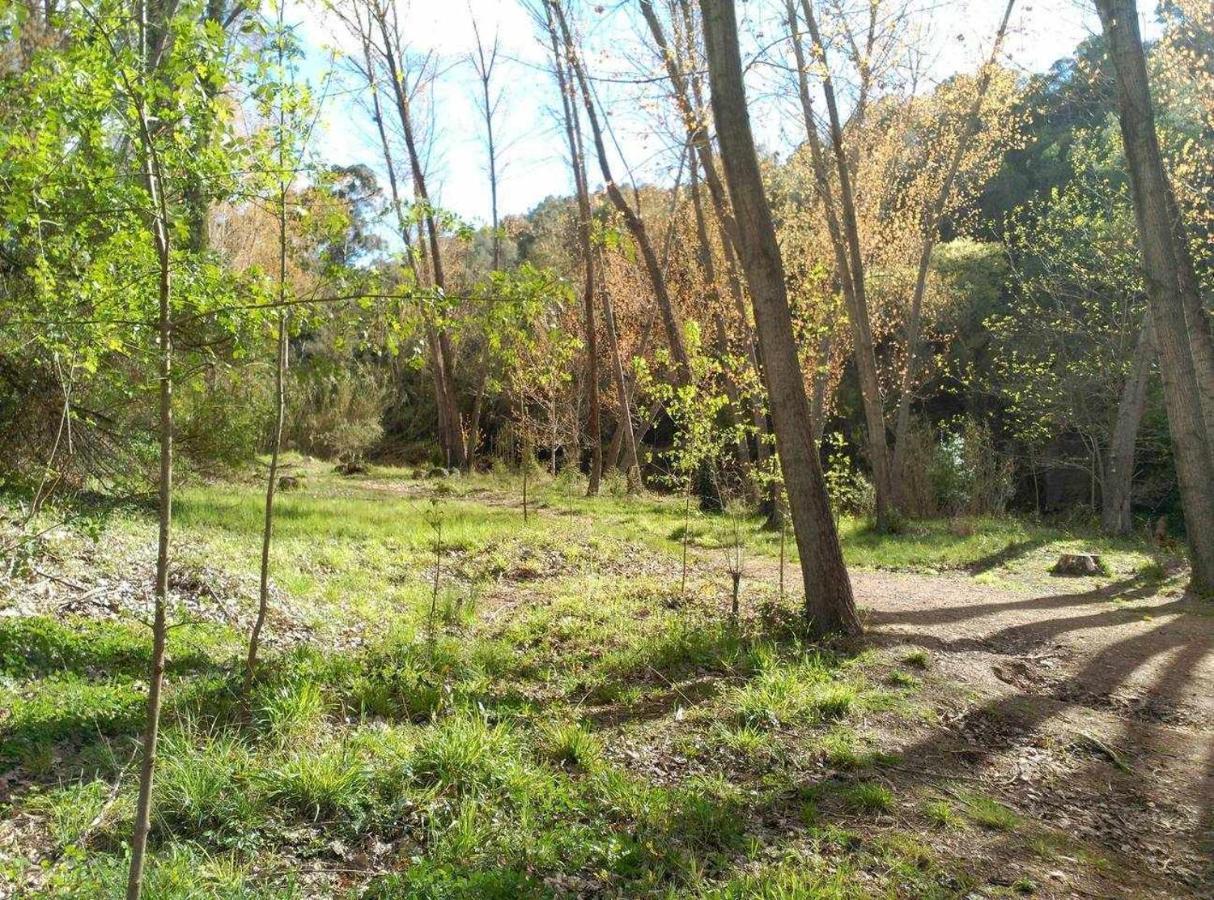 Casa Rural Els Orgues de Benitandús Alcudia de Veo Sierra Espadán Villa Esterno foto