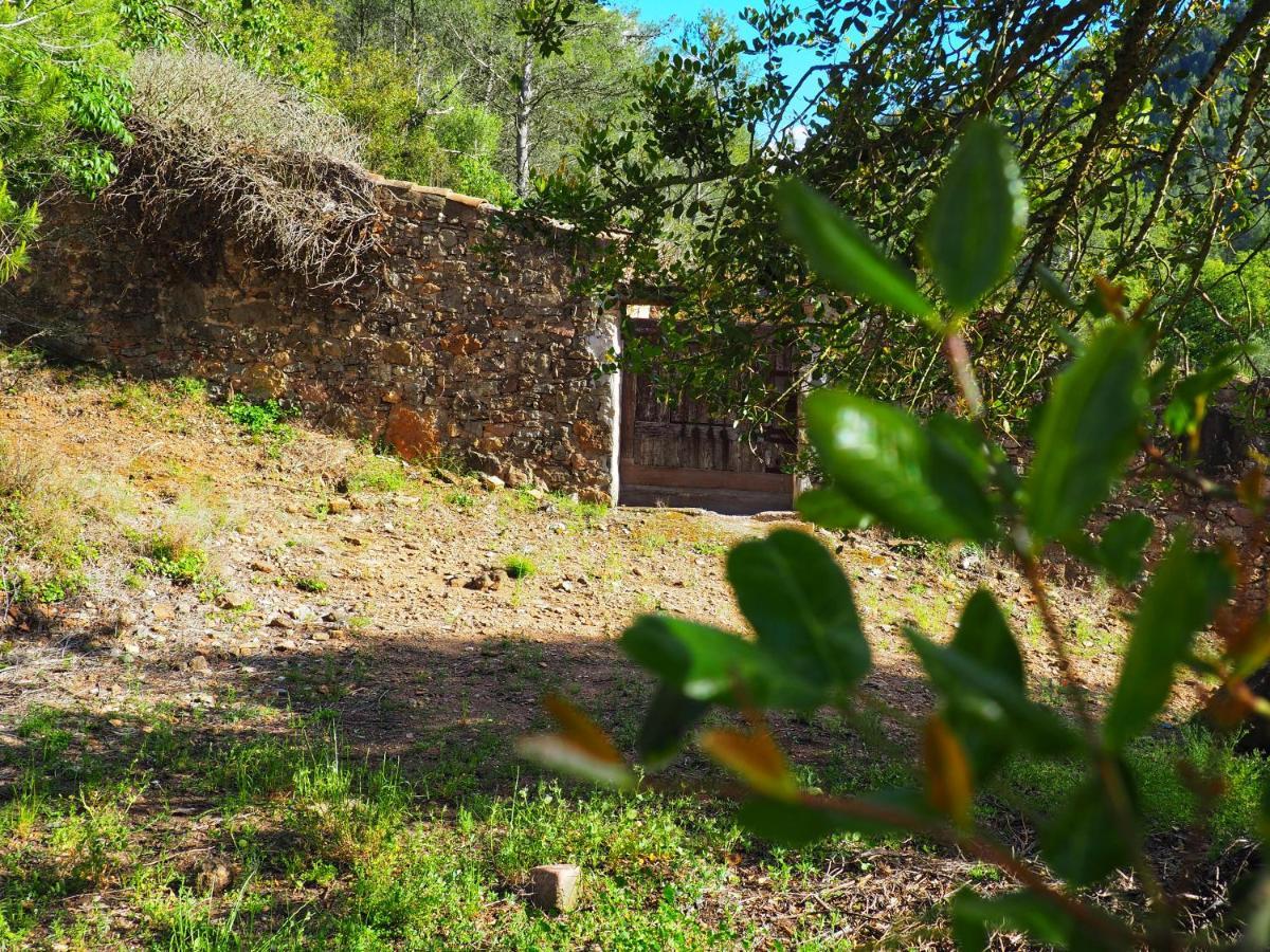 Casa Rural Els Orgues de Benitandús Alcudia de Veo Sierra Espadán Villa Esterno foto