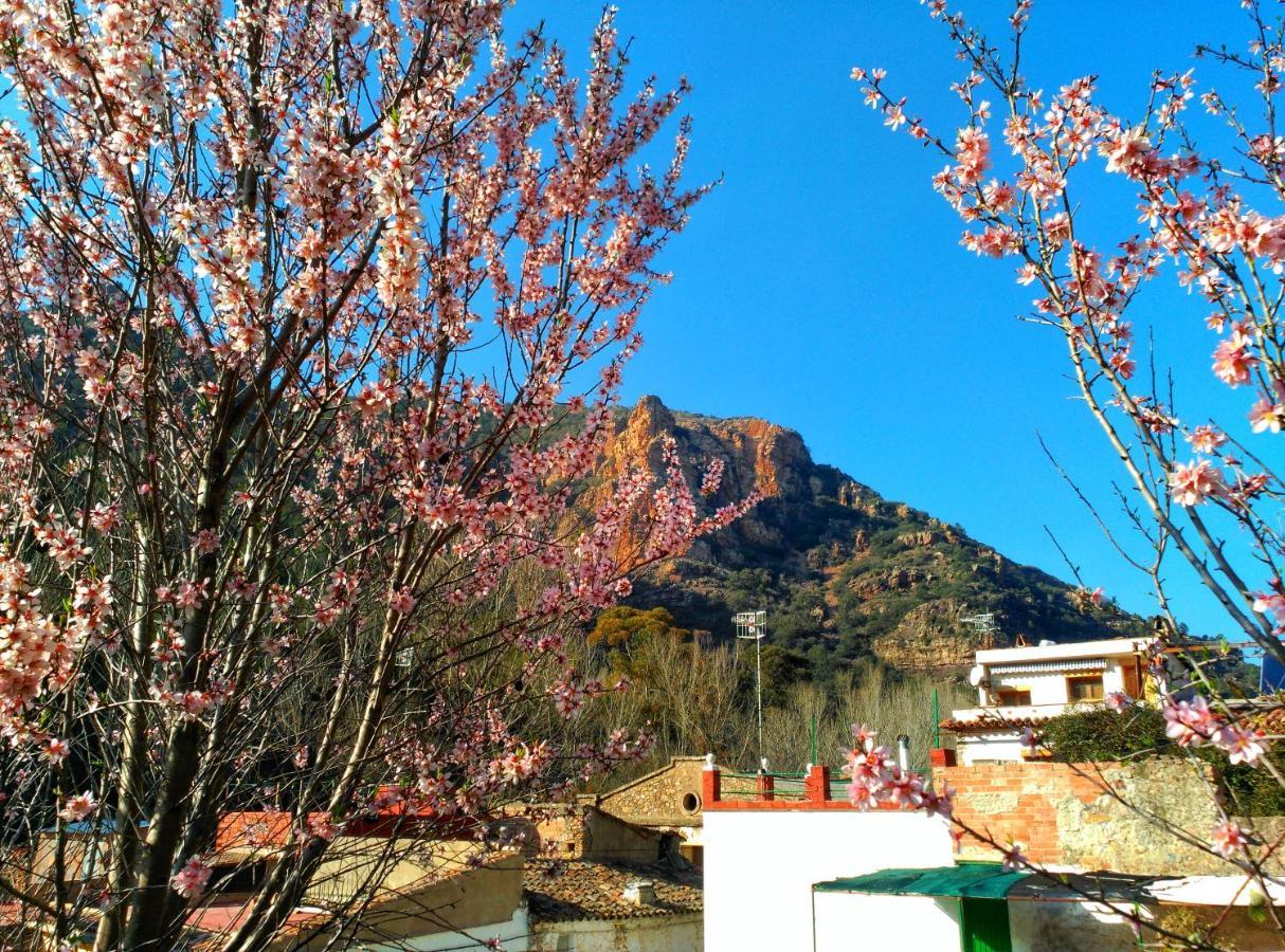 Casa Rural Els Orgues de Benitandús Alcudia de Veo Sierra Espadán Villa Esterno foto